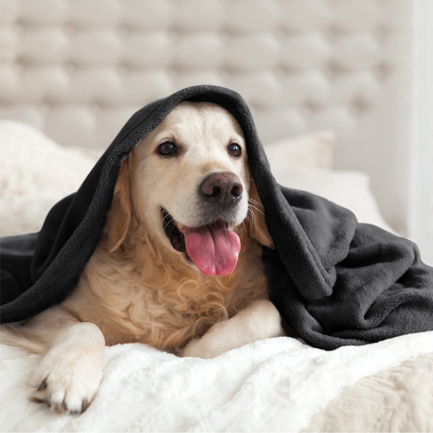 BEDELITE Fleece Blankets King Size Black Throw Blankets for Bed & Couch,Plush